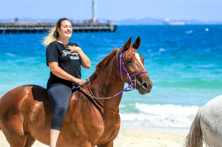 Sunny the Standardbred enjoys the beach