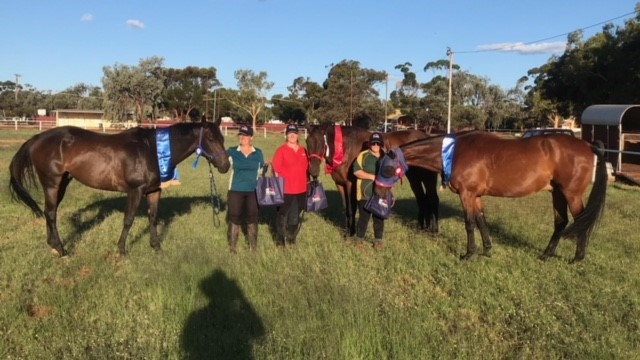 210206 Goldenmile Equestrian Club Inc Twilight Summer Games OTT Winners