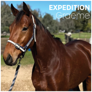 Expedition | OTTWA Retraining & Rehoming Program – Ready For New Home. thumbnail