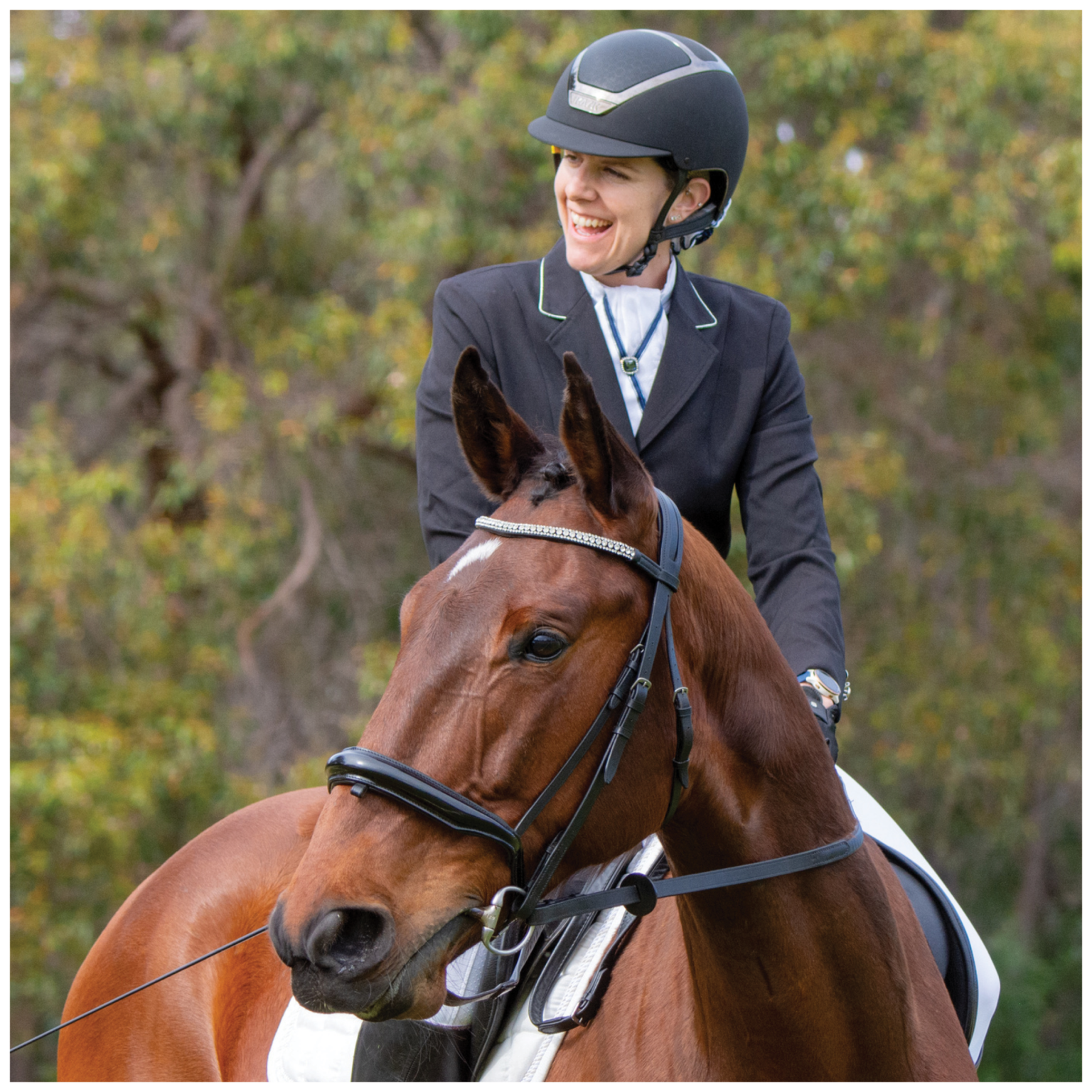 Retraining Springwatch Rehoming & Retraining Archives | Off The Track WA