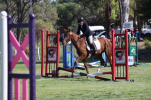 Sweet Art Pro | Show Horse Potential thumbnail