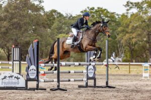Carson Drive | Eventing Mount Looking for New Partner thumbnail