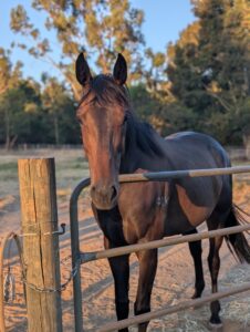 Heavenly Miss thumbnail