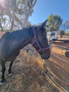 Name In Lights thumbnail