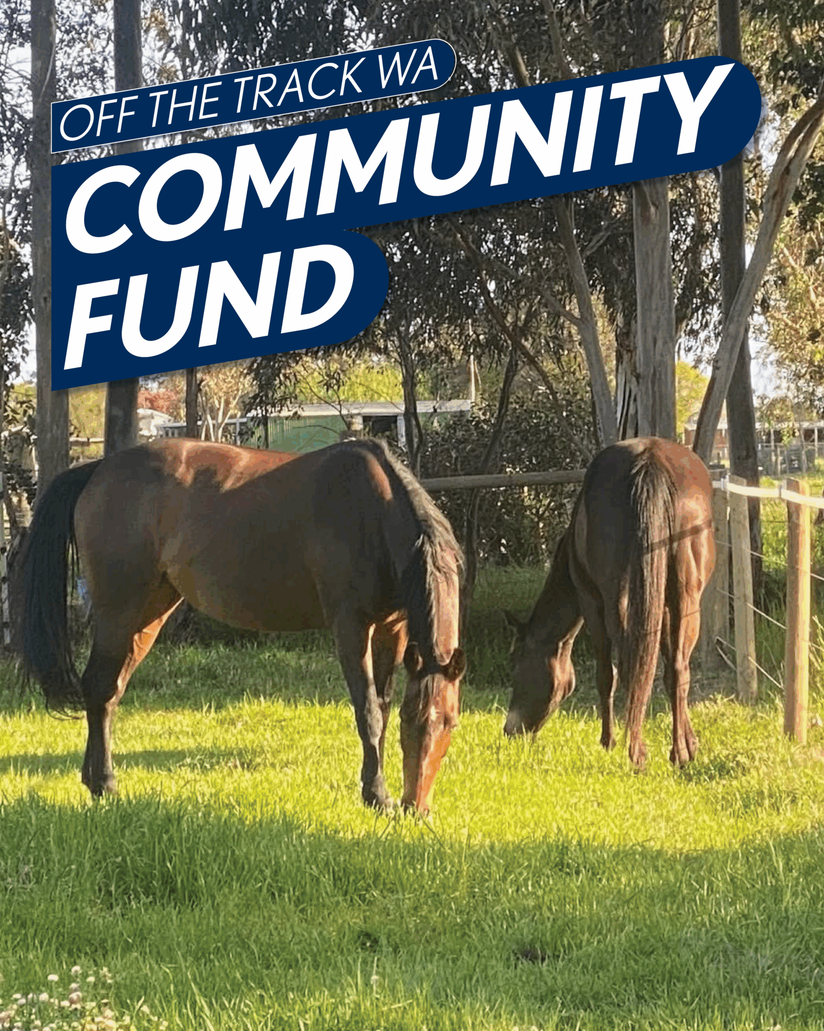 Open Community Track Community Funding Archives | Off The Track WA